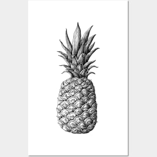 Fresh pineapple fruit Posters and Art